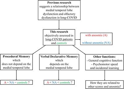 Anosmia in COVID-19 could be associated with long-term deficits in the consolidation of procedural and verbal declarative memories